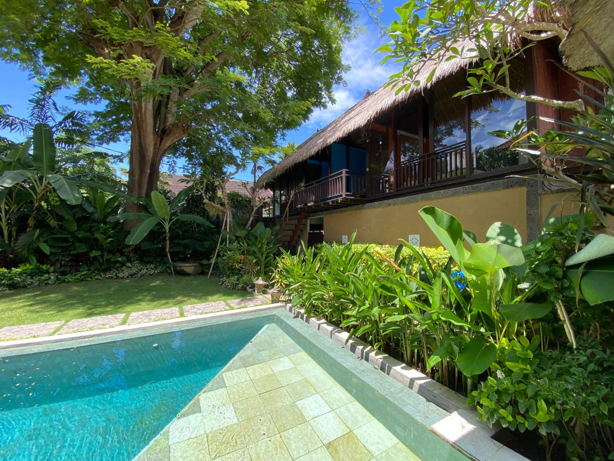 Little Tree House Otel Sanur Oda fotoğraf