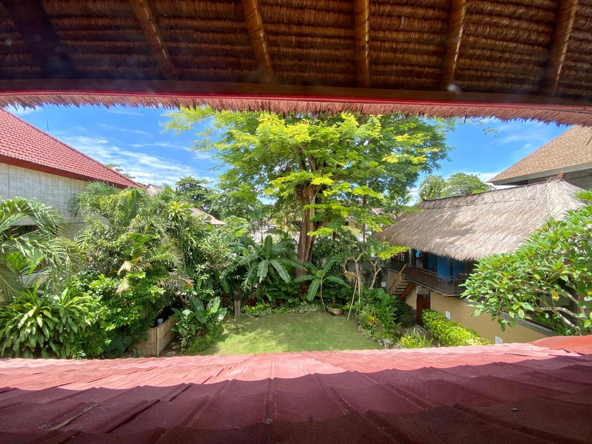 Little Tree House Otel Sanur Oda fotoğraf